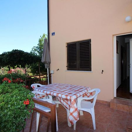 Apartment Liliana Near Beach Poreč Eksteriør bilde